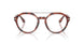 6234 - Tortoise