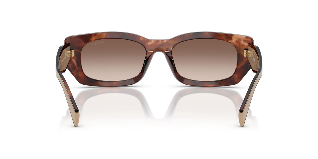 00K10S - Tortoise - Brown Gradient