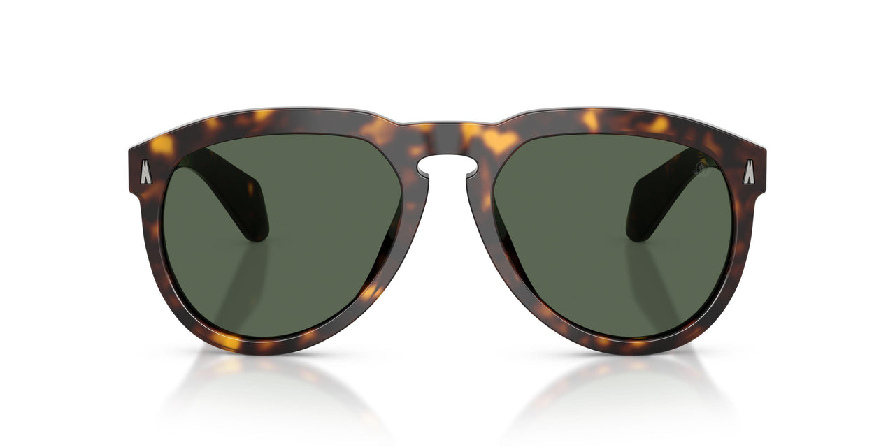300271 - Tortoise - Solid Dark Green