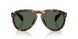 300271 - Tortoise - Solid Dark Green