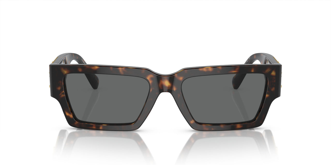 108/87 - Tortoise - Dark Grey
