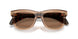 303773 - Brown - Dark Brown