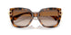 526420 - Brown - Pink Gradient Violet