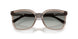 294011 - Brown - Gradient Grey