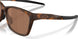 950603 - Brown - Prizm Tungsten