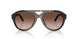 196413 - Tortoise - Brown Gradient