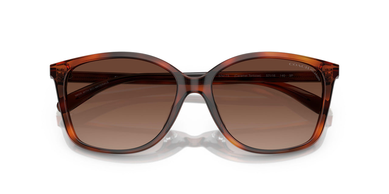 5741T5 - Tortoise - Brown Gradient Polarized