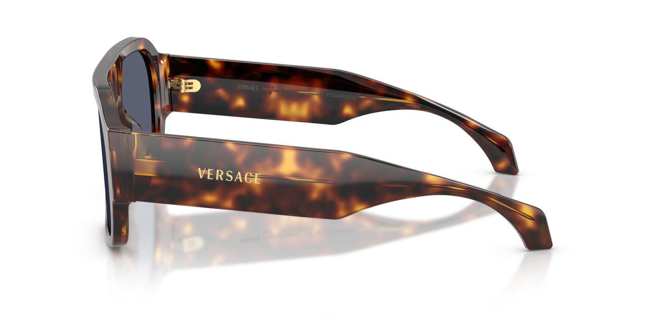 55372V - Tortoise - Dark Blue Polar