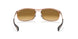 920251 - Gold - Clear Gradient Brown
