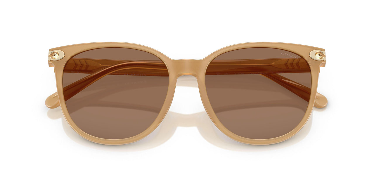 585473 - Brown - Brown Solid