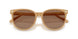 585473 - Brown - Brown Solid