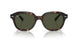 902/31 - Tortoise - Green