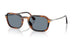 123556 - Brown - Light Blue
