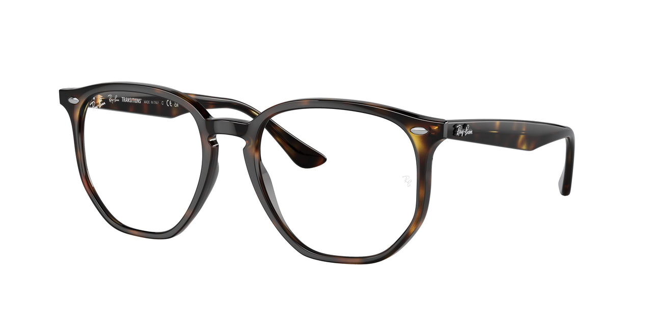 710/M1 - Havana - Photo Clear To Grey/green Quar