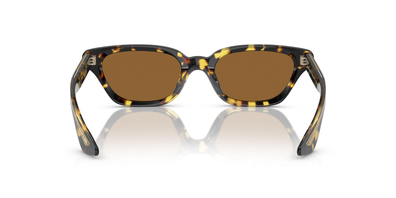 165457 - Tortoise - True Brown