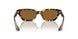 165457 - Tortoise - True Brown