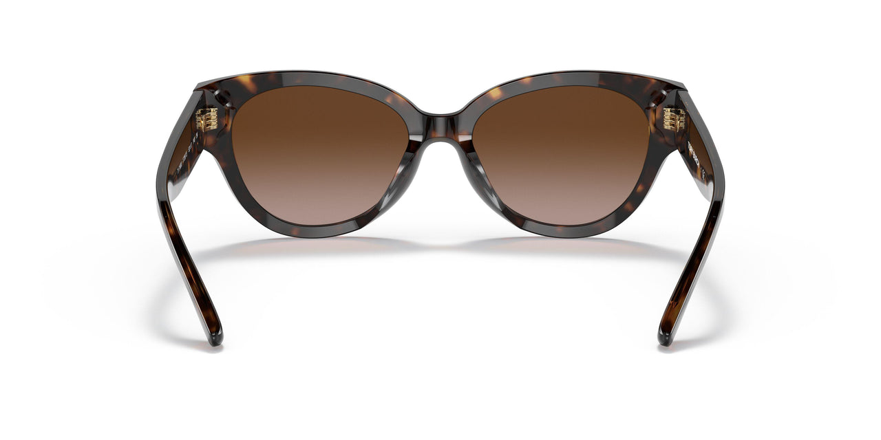 172813 - Havana - Brown Gradient