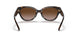 172813 - Havana - Brown Gradient