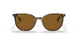 135757 - Brown - Brown Polar