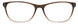 Brown - Brown