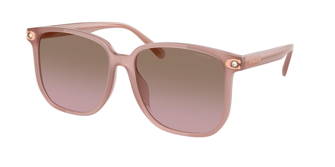 Coach Cw419 8413BD Sunglasses