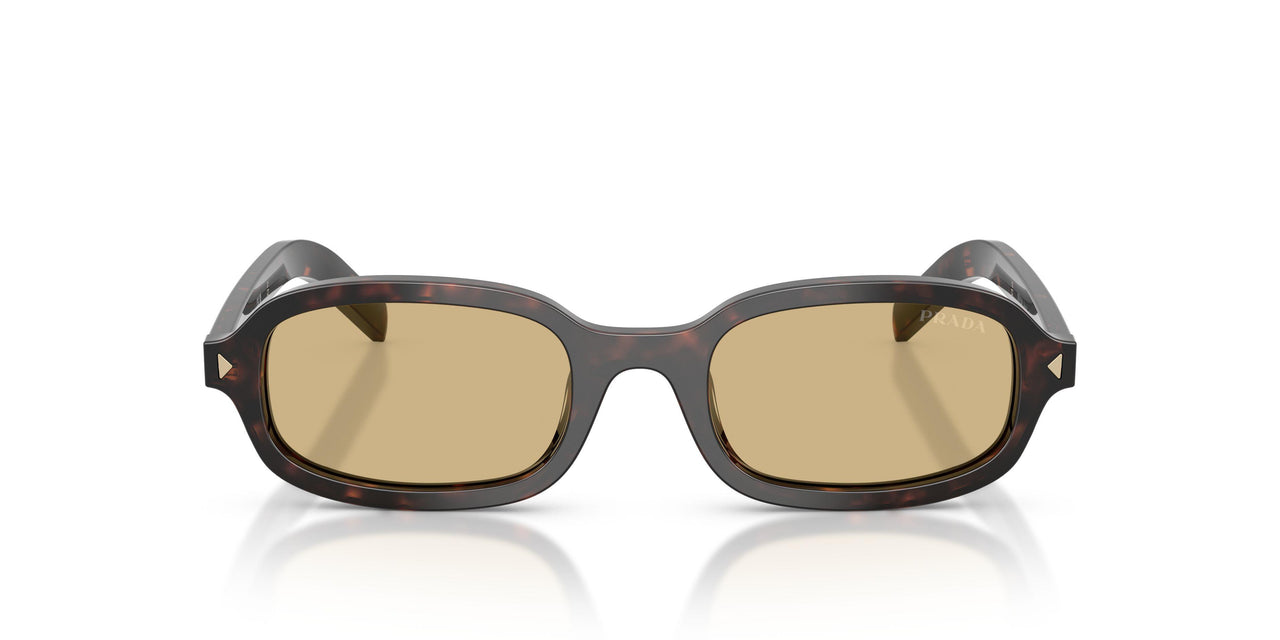 17N70R - Tortoise - Light Brown