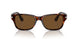24/57 - Havana - Polar Brown