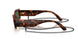 W6569A - Brown - Dark Green Polar