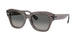 Ray-Ban State Street 2186 Sunglasses