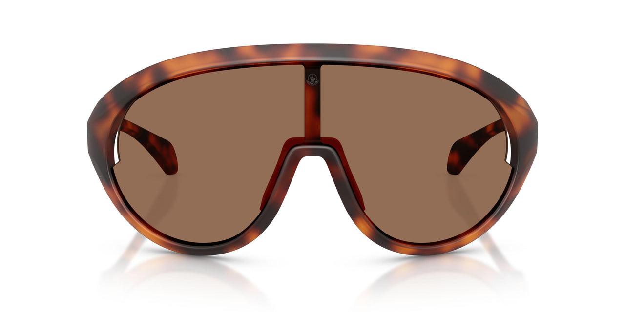 502673 - Tortoise - Solid Brown