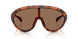 502673 - Tortoise - Solid Brown