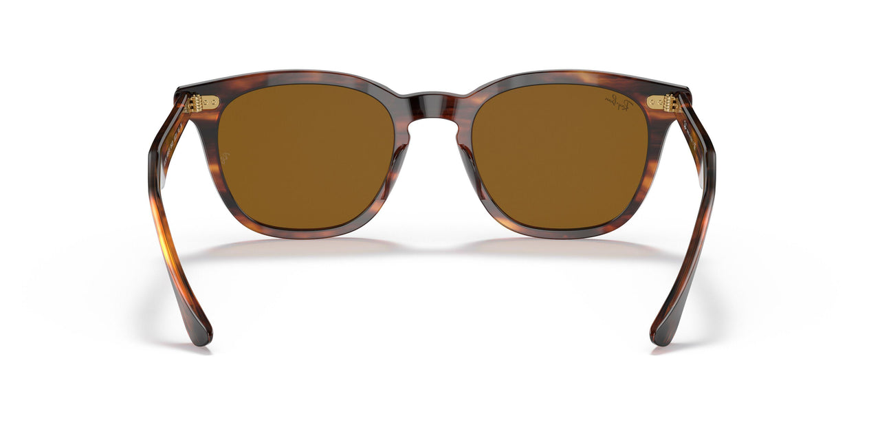 954/33 - Havana - Brown