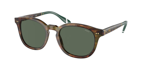 Polo 4206 Sunglasses