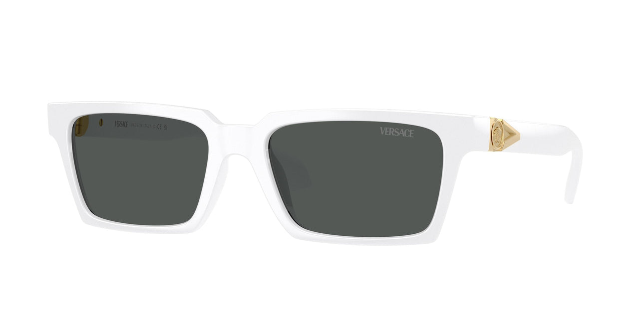 現行　ヴェルサーチ サングラス MOD 4490-U ブラック メデューサ Versace 4490U Sunglasses