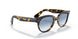 13323F - Havana - Clear Gradient Blue