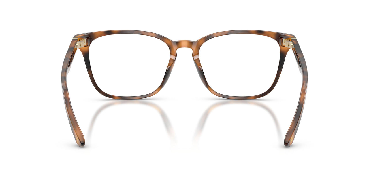 6161 - Tortoise