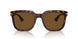 24/57 - Tortoise - Brown Polar