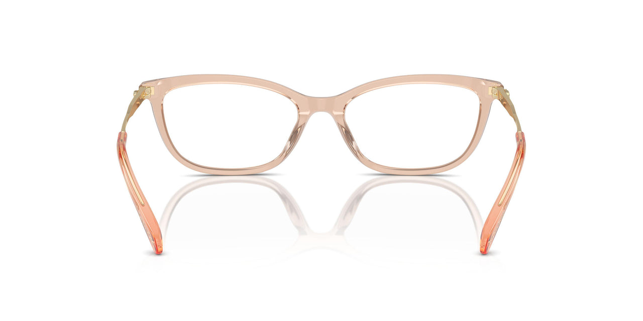5561 - Brown