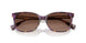 6303T5 - Tortoise - Polar Gradient Brown