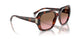 318014 - Tortoise - Pink Gradient Brown