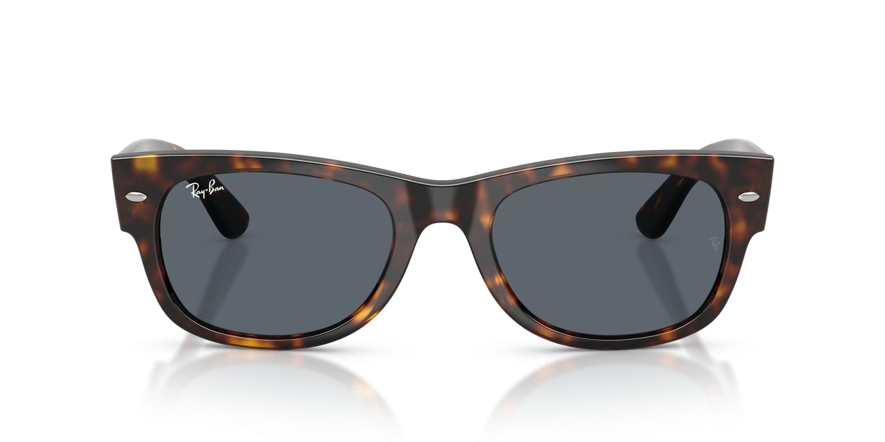 902/R5 - Tortoise - Blue