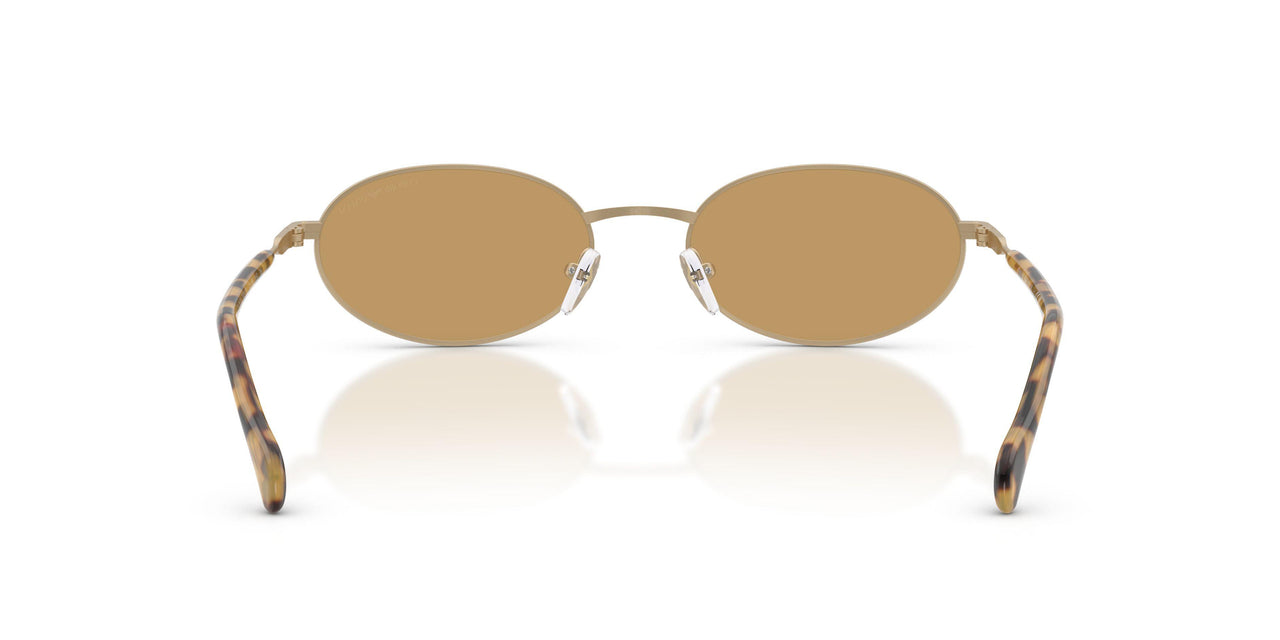 300273 - Gold - Brown