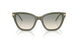 62642C - Green - Brown Gradient Light Green