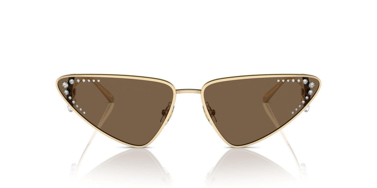300673 - Gold - Dark Brown