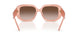 202813 - Pink - Brown Gradient