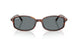954/62 - Brown - Blue