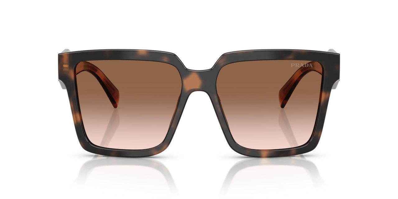 23A0A6 - Tortoise - Brown Gradient
