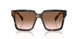 23A0A6 - Tortoise - Brown Gradient
