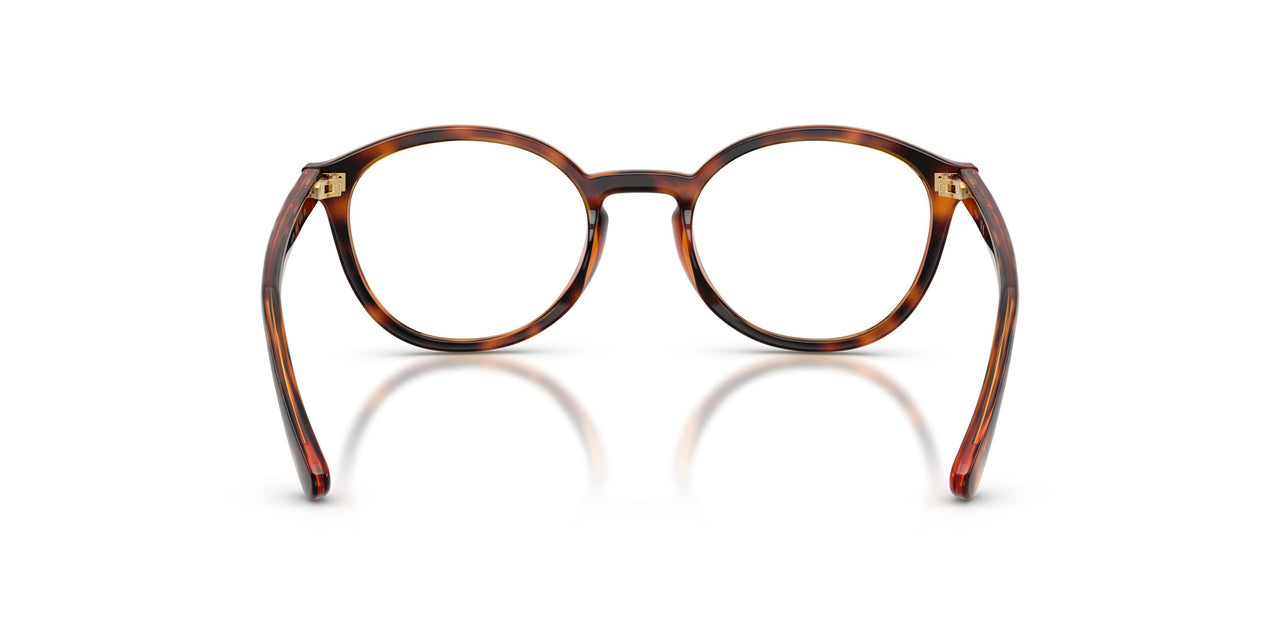 W656 - Brown