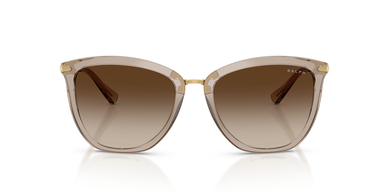 580213 - Brown - Gradient Brown